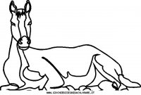 disegni_animali/cavallo/cavallo_cavalli_50.JPG