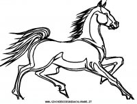 disegni_animali/cavallo/cavallo_cavalli_51.JPG