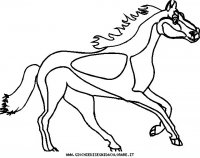 disegni_animali/cavallo/cavallo_cavalli_57.JPG