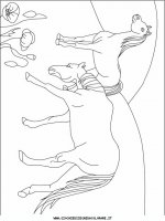 disegni_animali/cavallo/cavallo_cavalli_63.JPG
