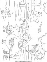 disegni_animali/cavallo/cavallo_cavalli_64.JPG