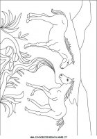 disegni_animali/cavallo/cavallo_cavalli_65.JPG
