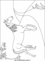 disegni_animali/cavallo/cavallo_cavalli_66.JPG