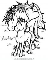 disegni_animali/cavallo/cavallo_cavalli_7.JPG