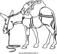 disegni_animali/cavallo/cavallo_cavalli_70.JPG