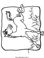disegni_animali/cavallo/cavallo_cavalli_73.JPG