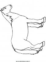 disegni_animali/cavallo/cavallo_cavalli_74.JPG