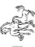 disegni_animali/cavallo/cavallo_cavalli_76.JPG