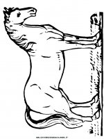 disegni_animali/cavallo/cavallo_cavalli_77.JPG