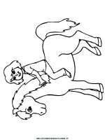 disegni_animali/cavallo/cavallo_cavalli_79.JPG