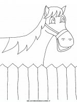 disegni_animali/cavallo/cavallo_cavalli_81.JPG