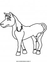 disegni_animali/cavallo/cavallo_cavalli_85.JPG