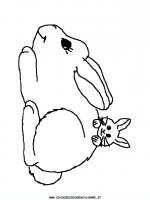 disegni_animali/coniglio/coniglio_a3.JPG