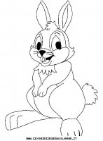 disegni_animali/coniglio/coniglio_a5.JPG