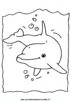 disegni_animali/delfino/delfino_delfini_01.JPG