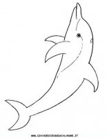 disegni_animali/delfino/delfino_delfini_04.JPG