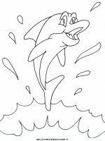 disegni_animali/delfino/delfino_delfini_05.JPG