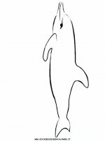 disegni_animali/delfino/delfino_delfini_06.JPG