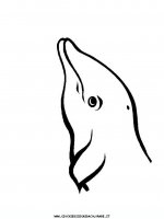 disegni_animali/delfino/delfino_delfini_12.JPG