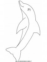 disegni_animali/delfino/delfino_delfini_14.JPG