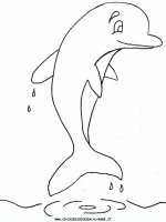 disegni_animali/delfino/delfino_delfini_15.JPG