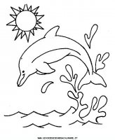 disegni_animali/delfino/delfino_delfini_27.JPG