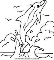 disegni_animali/delfino/delfino_delfini_30.JPG