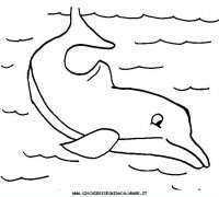 disegni_animali/delfino/delfino_delfini_31.JPG