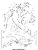 disegni_animali/delfino/delfino_delfini_36.JPG