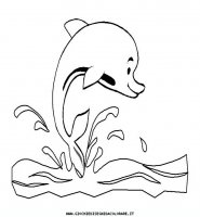 disegni_animali/delfino/delfino_delfini_37.JPG