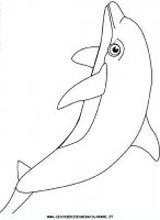 disegni_animali/delfino/delfino_delfini_38.JPG