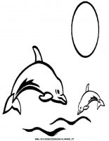 disegni_animali/delfino/delfino_delfini_39.JPG