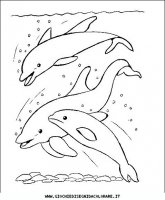 disegni_animali/delfino/delfino_delfini_42.JPG