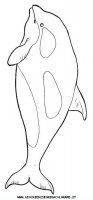 disegni_animali/delfino/delfino_delfini_48.JPG
