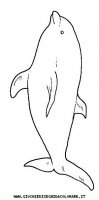 disegni_animali/delfino/delfino_delfini_49.JPG