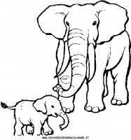 disegni_animali/elefante/elefante_15.JPG