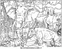 disegni_animali/elefante/elefante_21.JPG