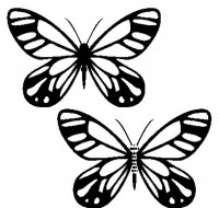 disegni_animali/farfalla/disegni_di_farfalle_10.jpg