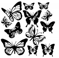 disegni_animali/farfalla/disegni_di_farfalle_2.jpg