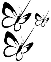 disegni_animali/farfalla/disegni_di_farfalle_5.jpg