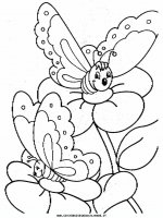 disegni_animali/farfalla/farfalle_1.JPG