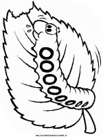 disegni_animali/farfalla/farfalle_4.JPG