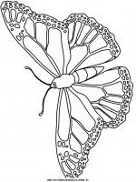 disegni_animali/farfalla/farfalle_5.JPG