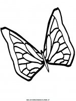 disegni_animali/farfalla/farfalle_7.JPG