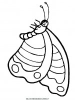 disegni_animali/farfalla/farfalle_a10.JPG