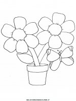 disegni_animali/farfalla/farfalle_a13.JPG