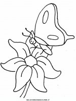 disegni_animali/farfalla/farfalle_a14.JPG