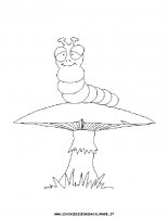 disegni_animali/farfalla/farfalle_d5.JPG