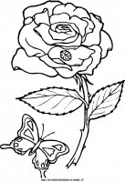 disegni_animali/farfalla/farfalle_d8.JPG