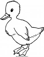 disegni_animali/fattoria/14.JPG